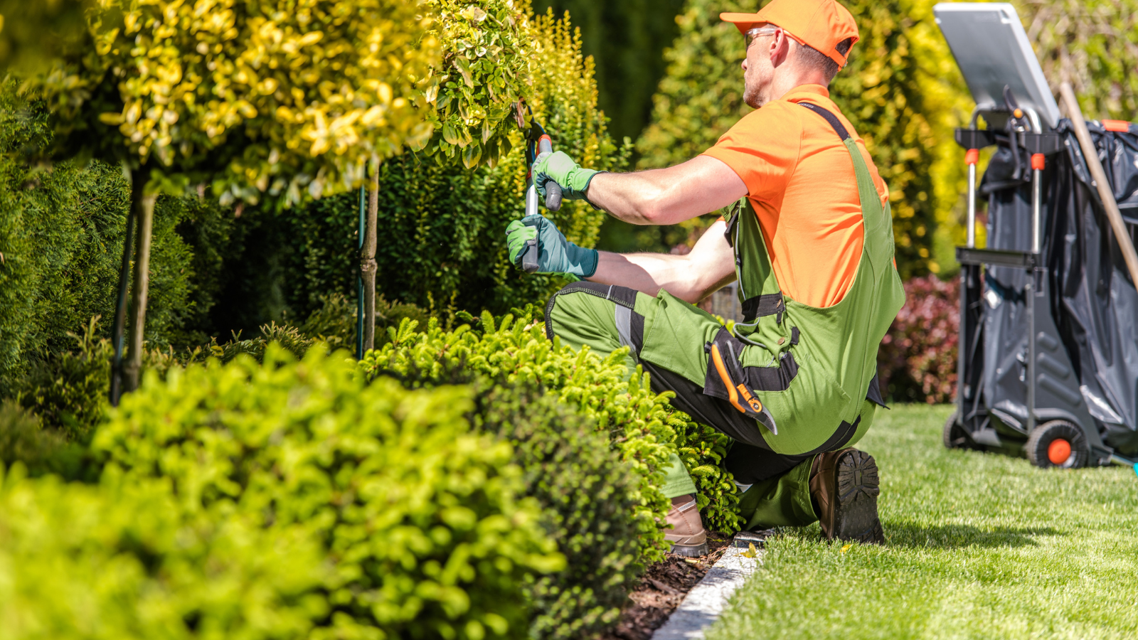 Seasonal Yard Clean-up Services for Homeowners in West Chester Ohio Neighborhoods