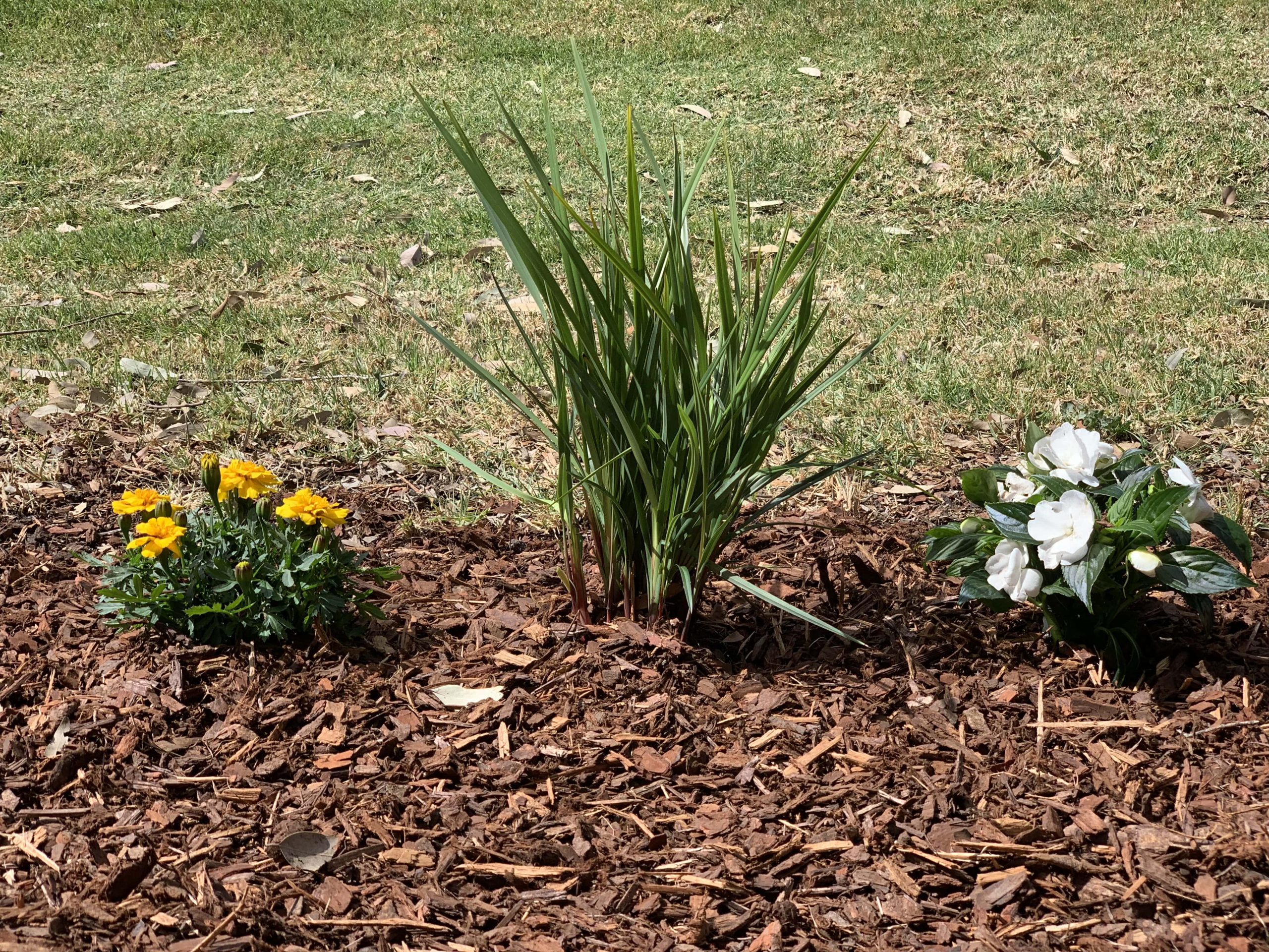 cleveland bulk mulch
