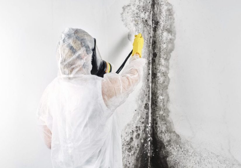 Mold Removal