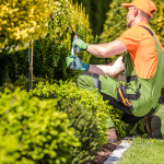 Seasonal Yard Clean-up Services for Homeowners in West Chester Ohio Neighborhoods