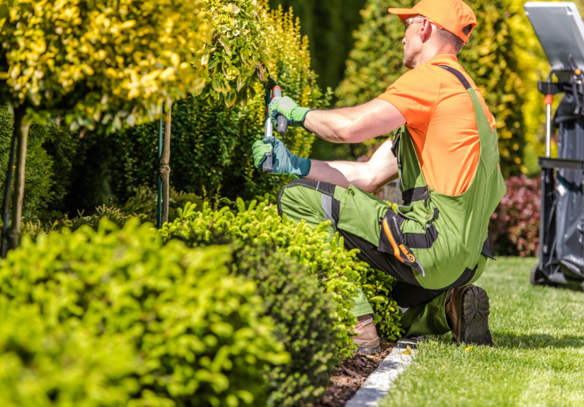 Seasonal Yard Clean-up Services for Homeowners in West Chester Ohio Neighborhoods