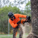 Tree service