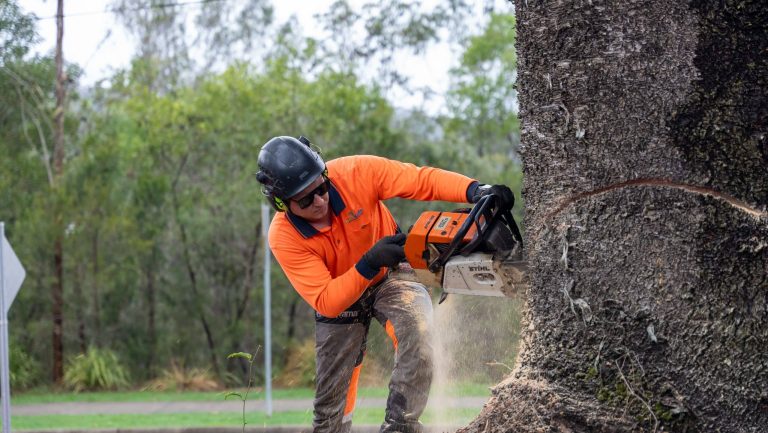 Tree service
