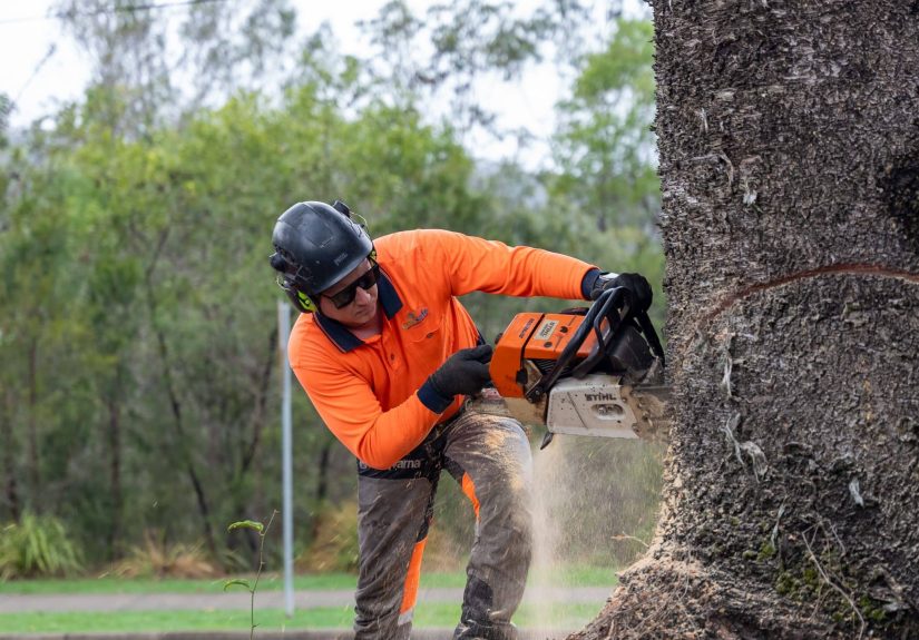 Tree service